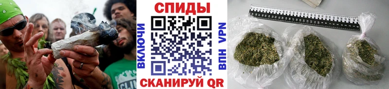Бутират буратино Коряжма