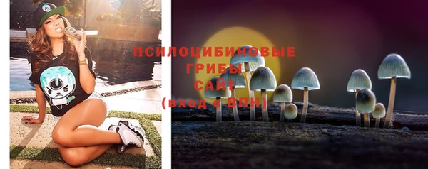 apvp Алексеевка