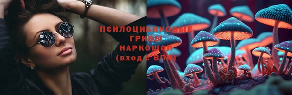apvp Алексеевка